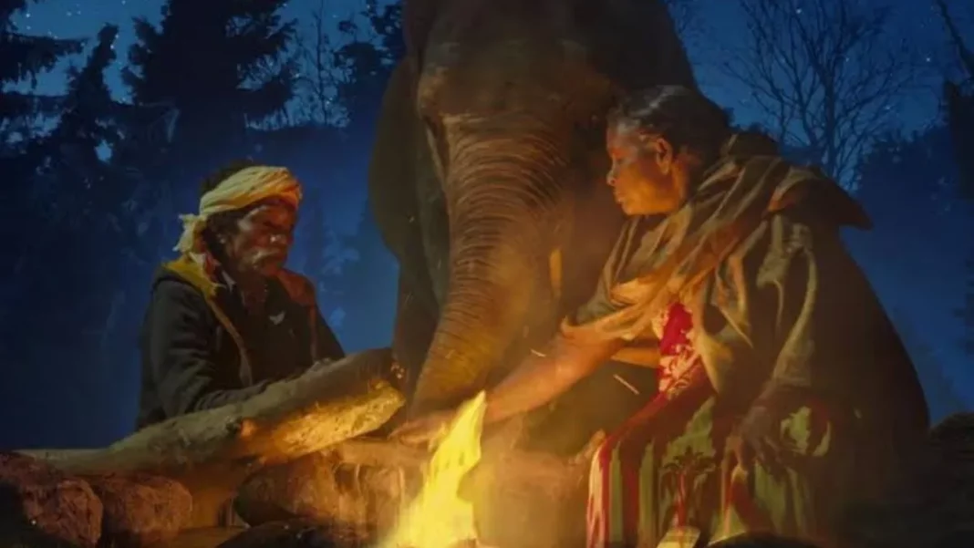 The Elephant Whisperers
