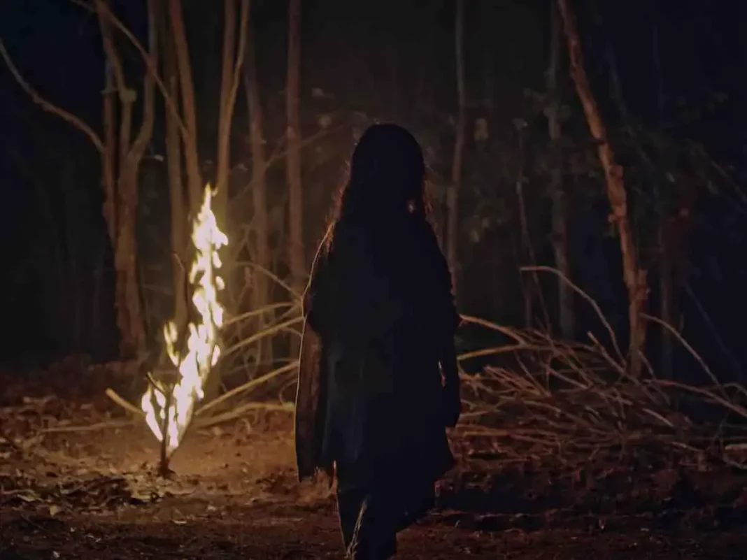 Top 5 Netflix Horror Films That Are Secret Treasures